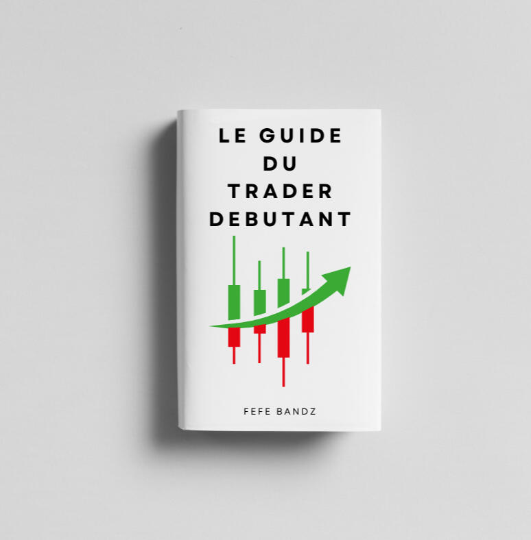 Le Guide du Trader Débutant: De Zéro à 1500€/Mois en 2h par Jour Évite Ces 5 Erreurs Fatales Qui Mènent à Des Heures Perdues sur YouTube, Des Nuits Blanches à Chercher le "Truc" Qui Marche, et Un Compte Vidé en 24h (Même Si Tu N'as Jamais Passé Un Seul Ordre !)